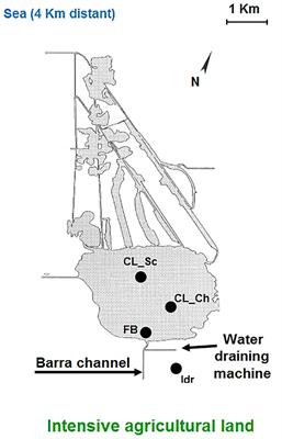 Isolation of Four Microalgal Strains From the Lake Massaciuccoli: Screening of Common Pollutants Tolerance Pattern and Perspectives for Their Use in Biotechnological Applications